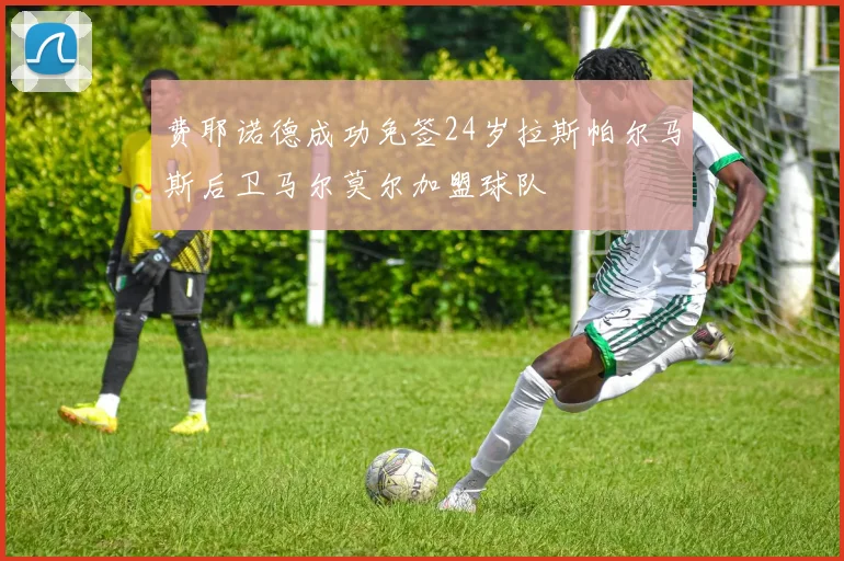 费耶诺德成功免签24岁拉斯帕尔马斯后卫马尔莫尔加盟球队
